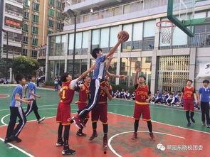 篮球最新爆料网站大全,一网打尽篮球资讯热点